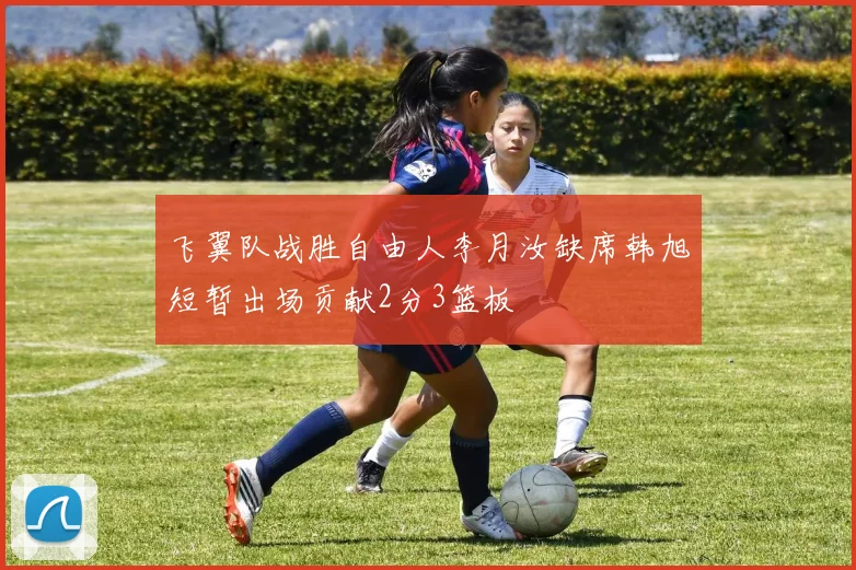 飞翼队战胜自由人李月汝缺席韩旭短暂出场贡献2分3篮板