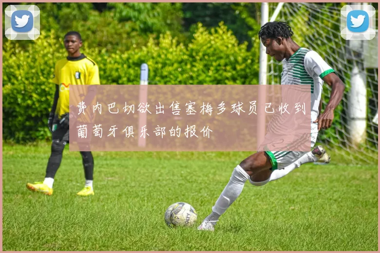 费内巴切欲出售塞梅多球员已收到葡萄牙俱乐部的报价